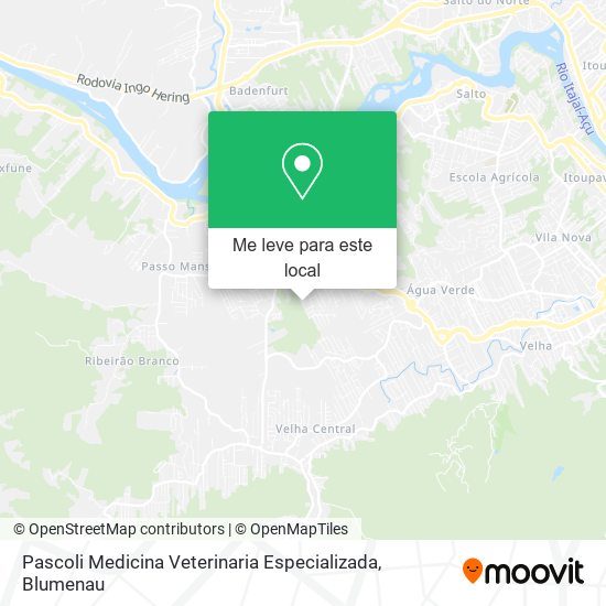 Pascoli Medicina Veterinaria Especializada mapa
