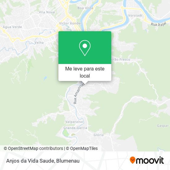 Anjos da Vida Saude mapa