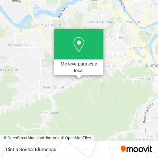 Cintia Socha mapa