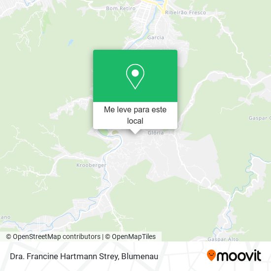 Dra. Francine Hartmann Strey mapa