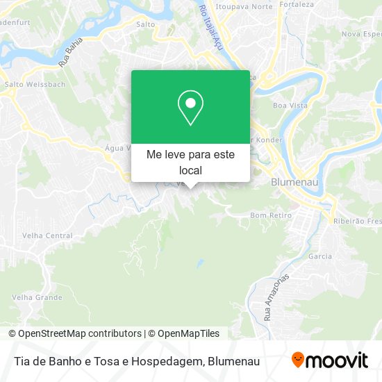 Tia de Banho e Tosa e Hospedagem mapa