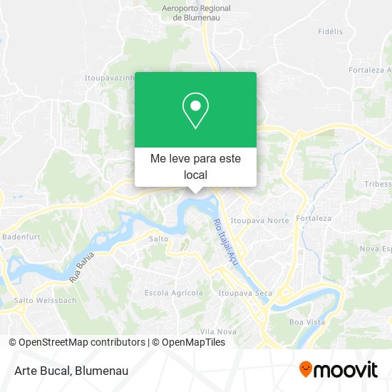 Arte Bucal mapa