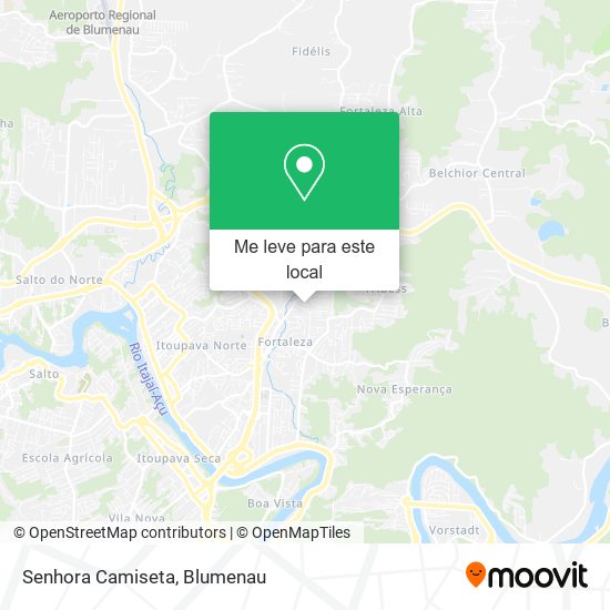Senhora Camiseta mapa