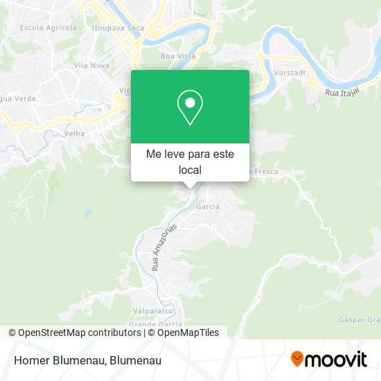 Homer Blumenau mapa