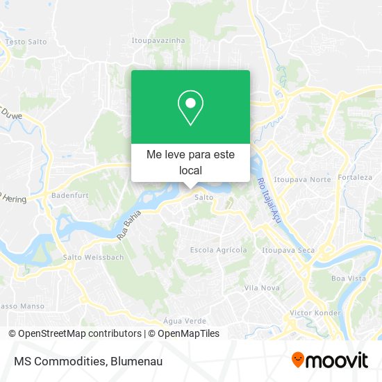 MS Commodities mapa