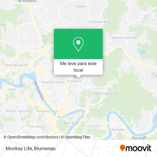 Monkey Life mapa