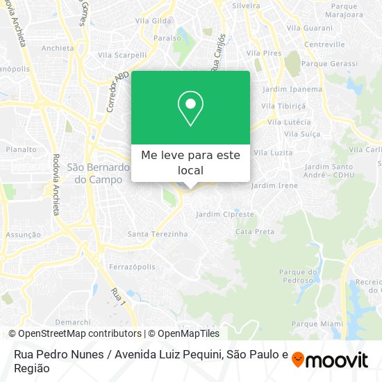 Rua Pedro Nunes / Avenida Luiz Pequini mapa