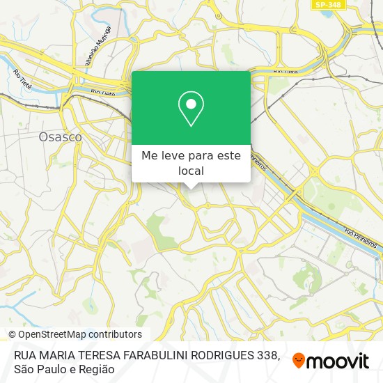 RUA MARIA TERESA FARABULINI RODRIGUES 338 mapa