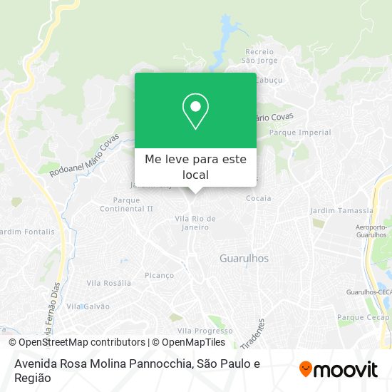 Avenida Rosa Molina Pannocchia mapa