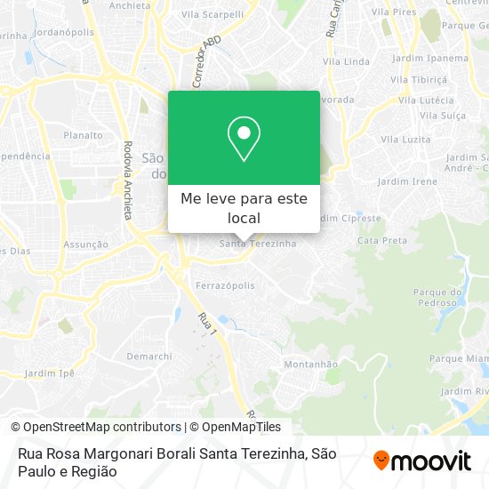 Rua Rosa Margonari Borali   Santa Terezinha mapa