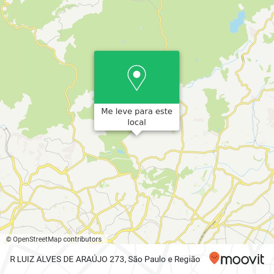 R LUIZ ALVES DE ARAÚJO 273 mapa