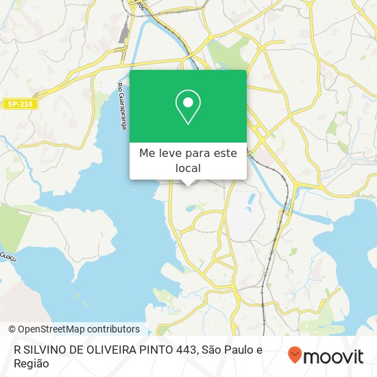 R SILVINO DE OLIVEIRA PINTO 443 mapa