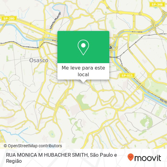 RUA MONICA M  HUBACHER SMITH mapa