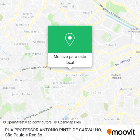 RUA PROFESSOR ANTONIO PINTO DE CARVALHO mapa