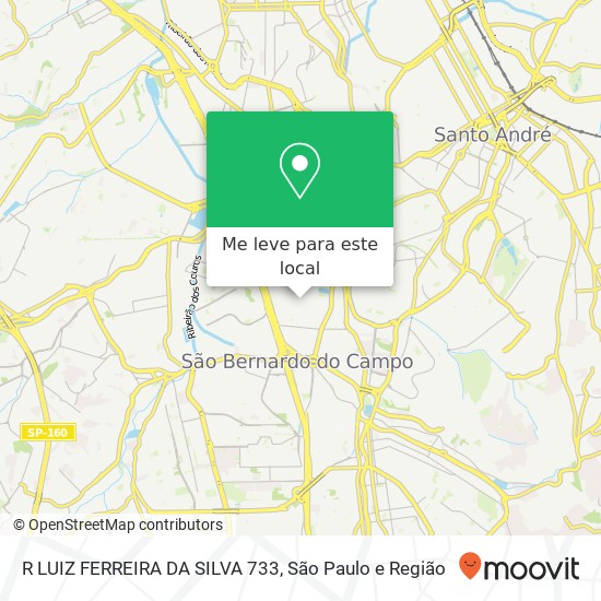 R LUIZ FERREIRA DA SILVA 733 mapa