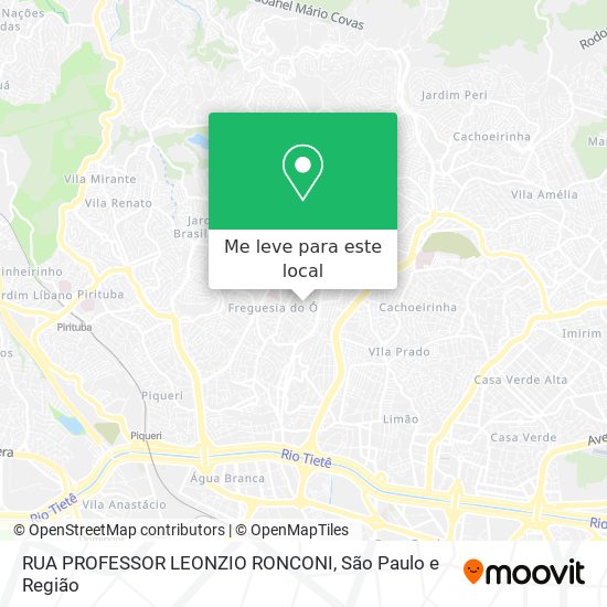 RUA PROFESSOR LEONZIO RONCONI mapa