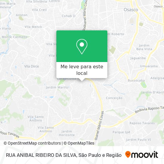 RUA ANIBAL RIBEIRO DA SILVA mapa