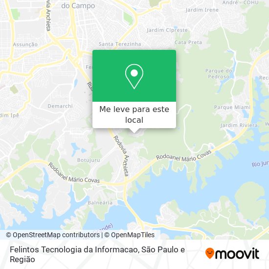 Felintos Tecnologia da Informacao mapa