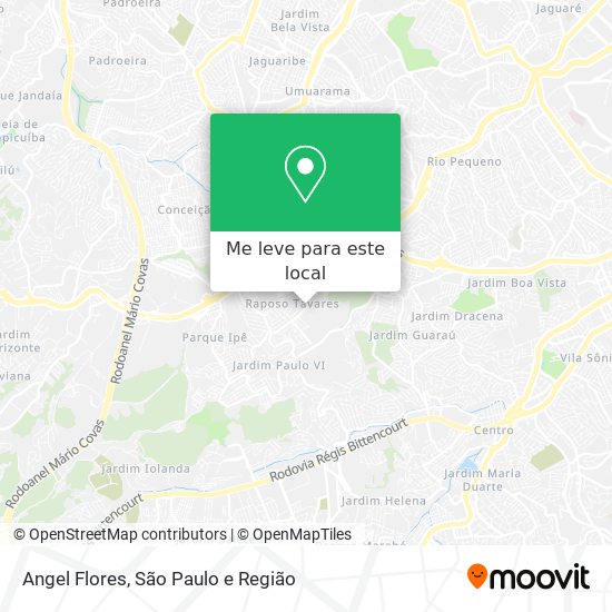 Angel Flores mapa