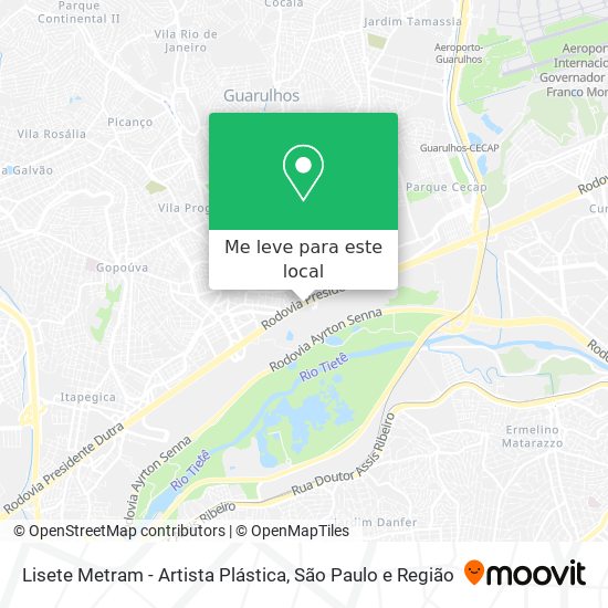 Lisete Metram - Artista Plástica mapa