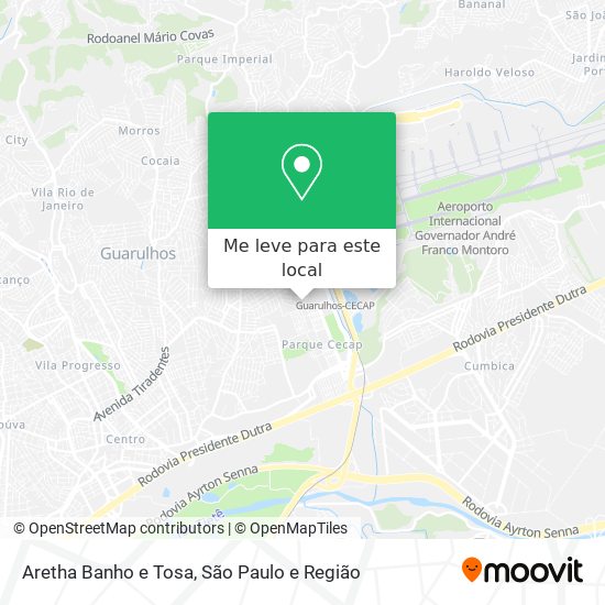 Aretha Banho e Tosa mapa