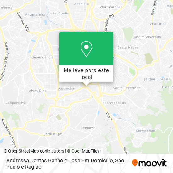 Andressa Dantas Banho e Tosa Em Domicílio mapa