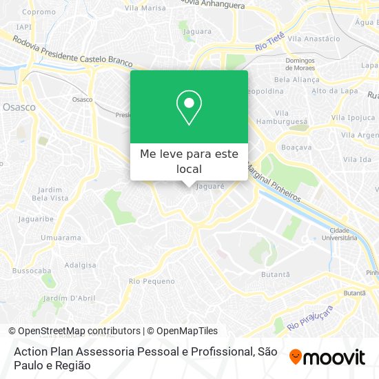 Action Plan Assessoria Pessoal e Profissional mapa