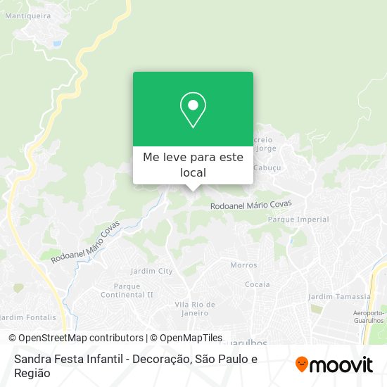 Sandra Festa Infantil - Decoração mapa