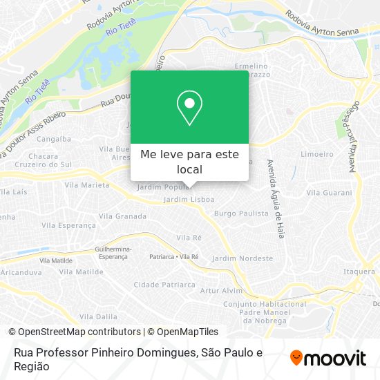 Rua Professor Pinheiro Domingues mapa