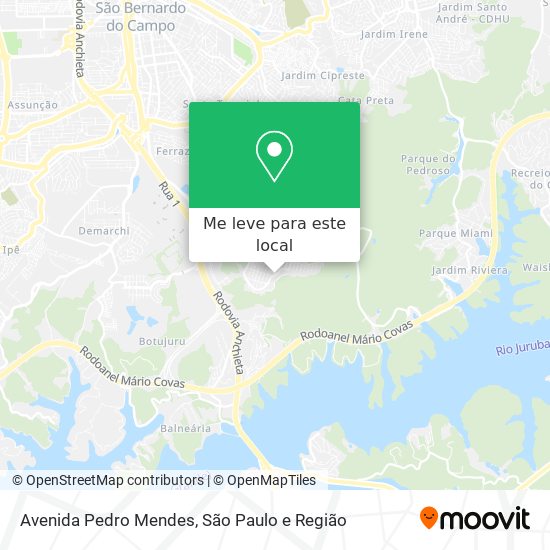 Avenida Pedro Mendes mapa