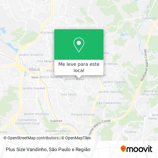 Plus Size Vandinho mapa