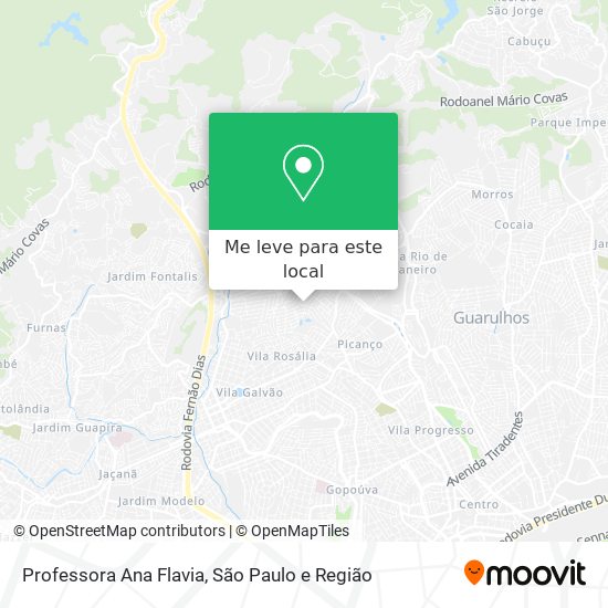 Professora Ana Flavia mapa