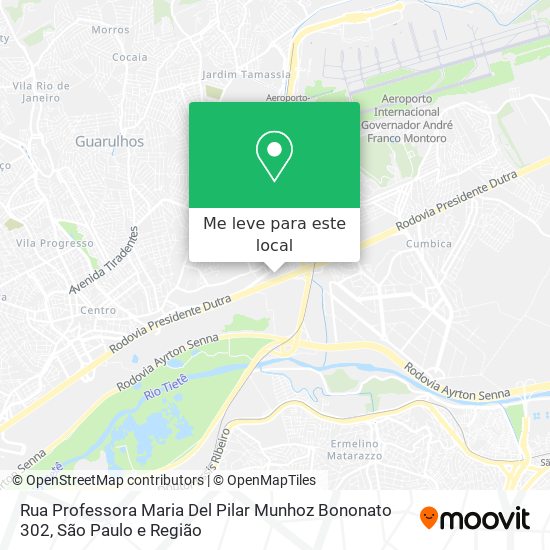 Rua Professora Maria Del Pilar Munhoz Bononato 302 mapa