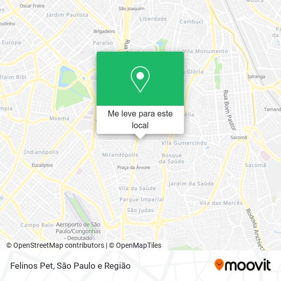 Felinos Pet mapa