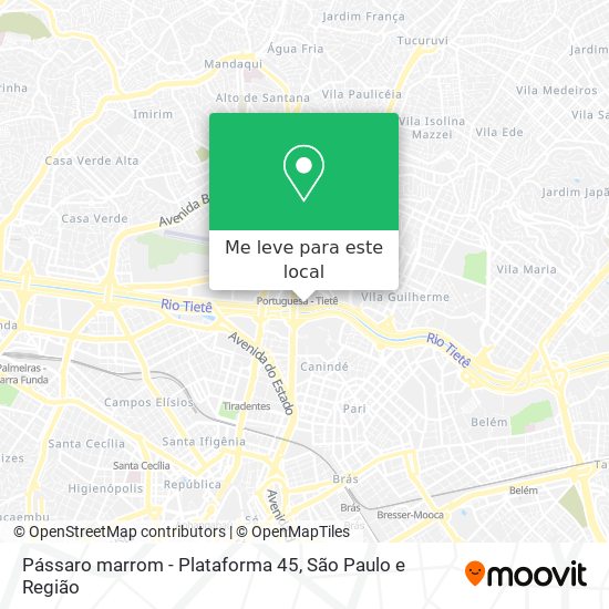 Pássaro marrom - Plataforma 45 mapa