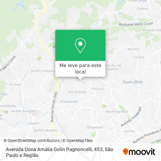 Avenida Dona Amália Golin Pagnoncelli, 453 mapa
