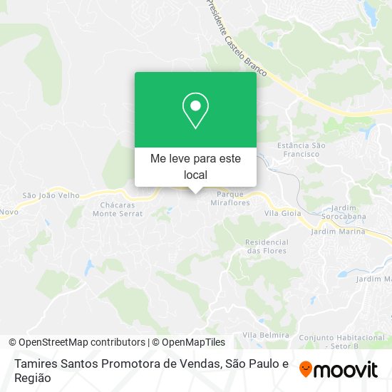 Tamires Santos Promotora de Vendas mapa