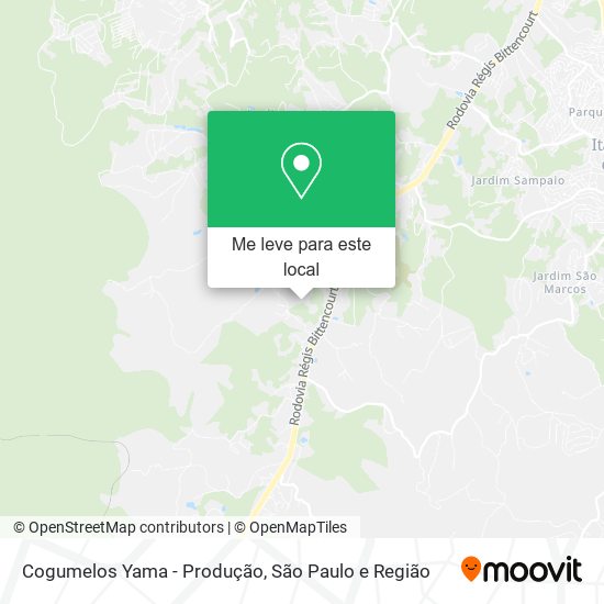 Cogumelos Yama - Produção mapa