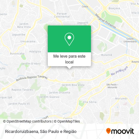 Ricardoruizbaena mapa