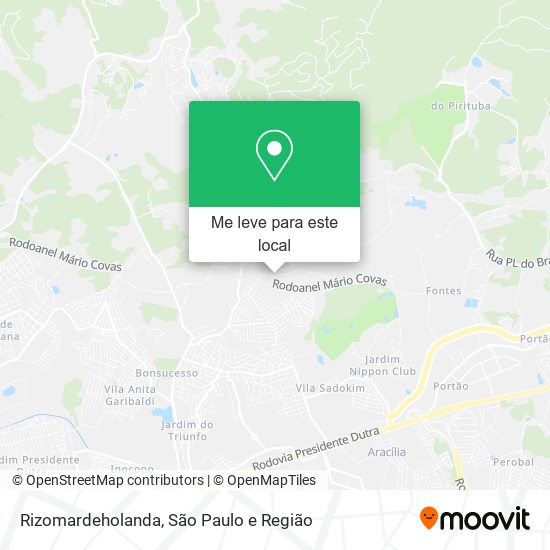 Rizomardeholanda mapa