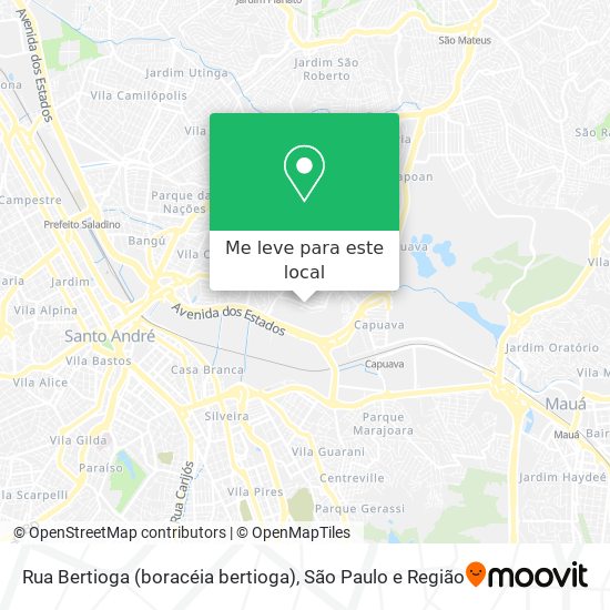 Rua Bertioga (boracéia bertioga) mapa
