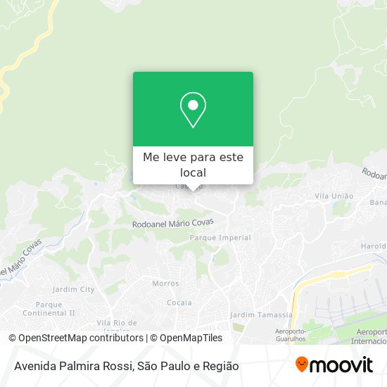 Avenida Palmira Rossi mapa