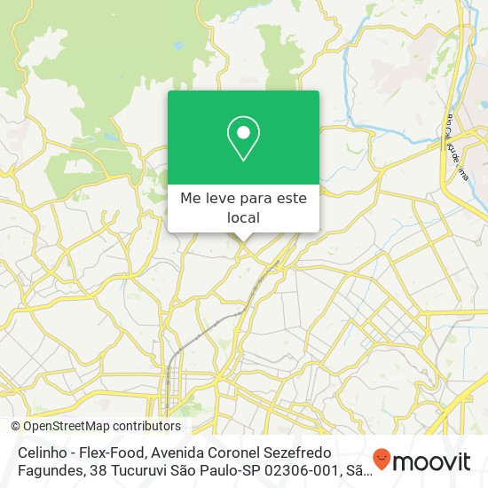 Celinho - Flex-Food, Avenida Coronel Sezefredo Fagundes, 38 Tucuruvi São Paulo-SP 02306-001 mapa