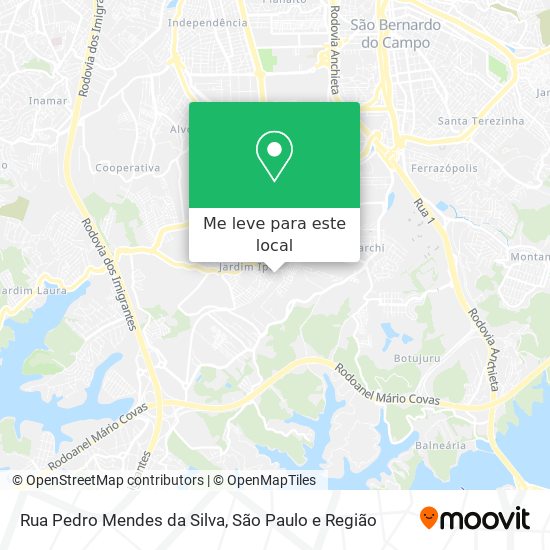 Rua Pedro Mendes da Silva mapa