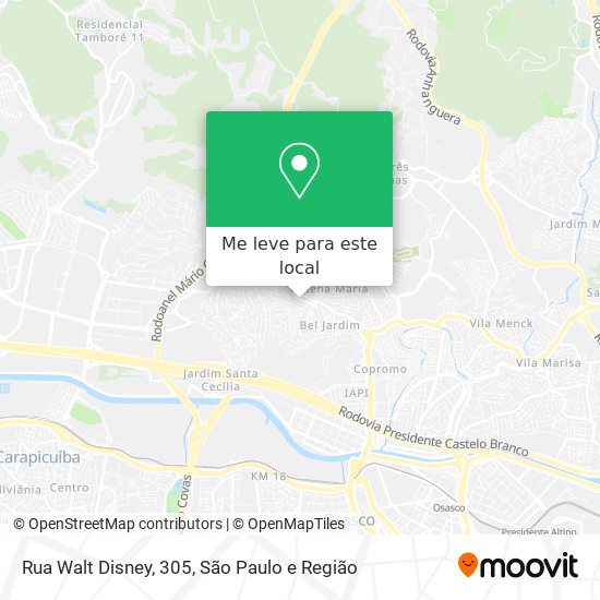 Rua Walt Disney, 305 mapa
