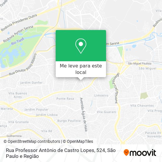 Rua Professor Antônio de Castro Lopes, 524 mapa