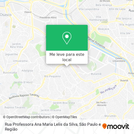 Rua Professora Ana Maria Lelis da Silva mapa