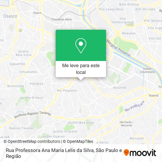 Rua Professora Ana Maria Lelis da Silva mapa
