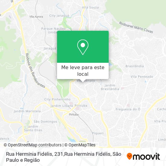 Rua Hermínia Fidélis, 231,Rua Hermínia Fidélis mapa