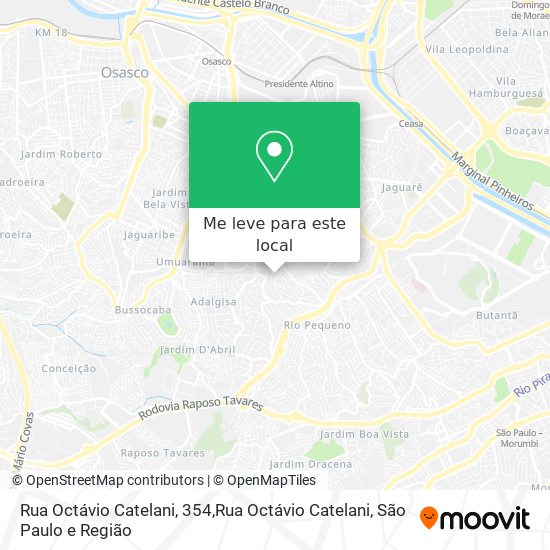 Rua Octávio Catelani, 354,Rua Octávio Catelani mapa